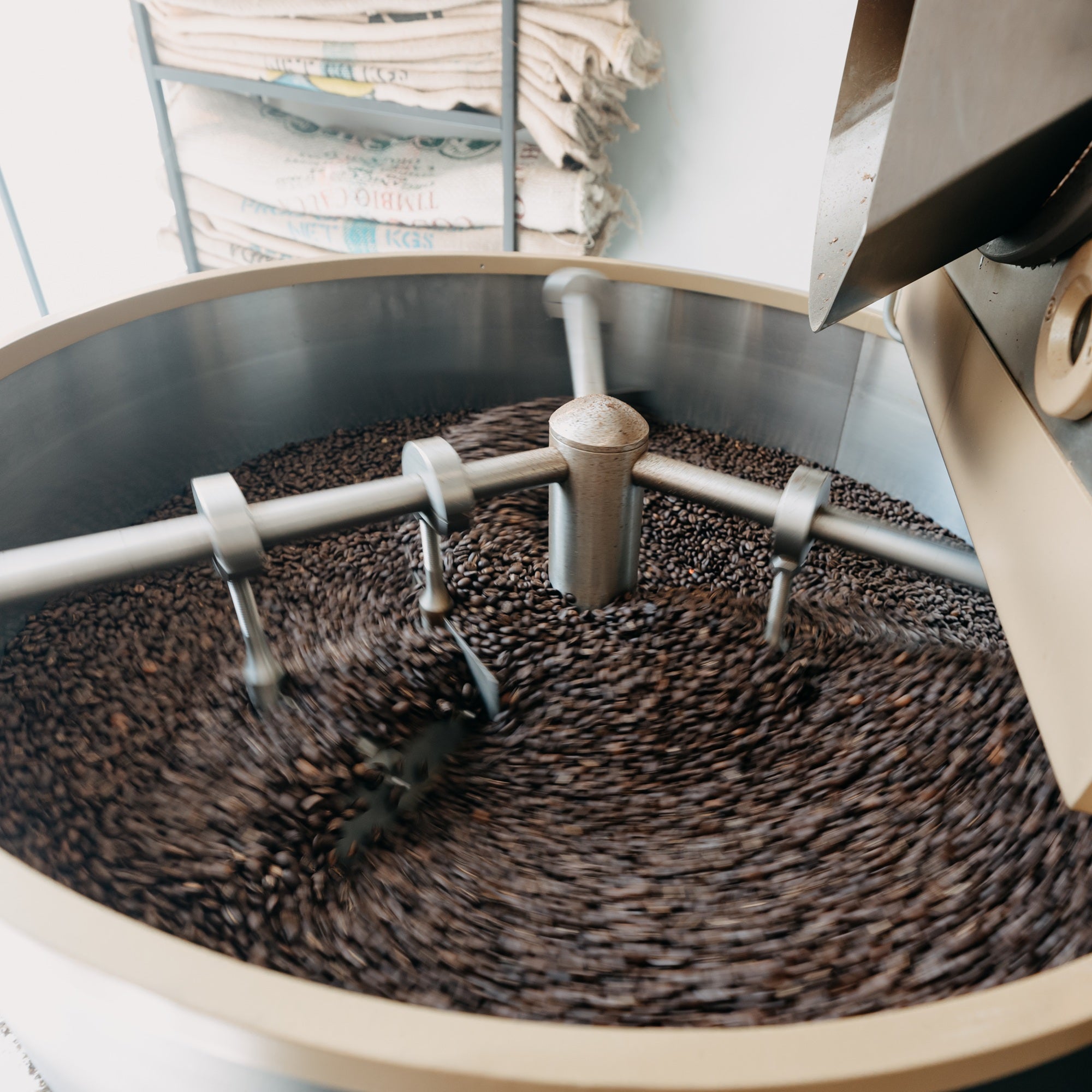 Spezialitätenkaffee wird abgekühlt im Kühlsieb Kaffeerösterei