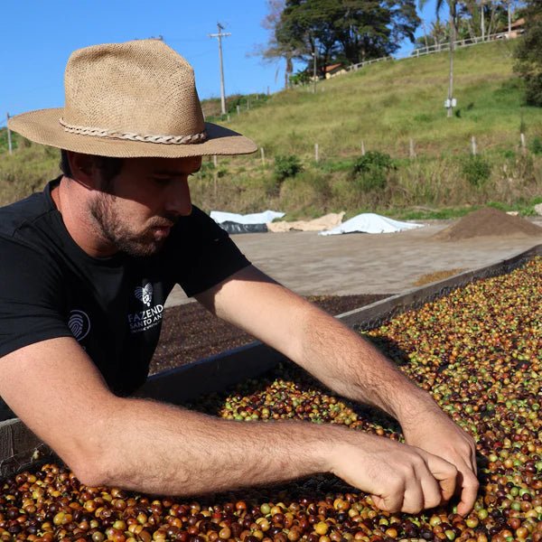 Alma natural - Single Origin Brasilien - Quintacoira Coffee Shop