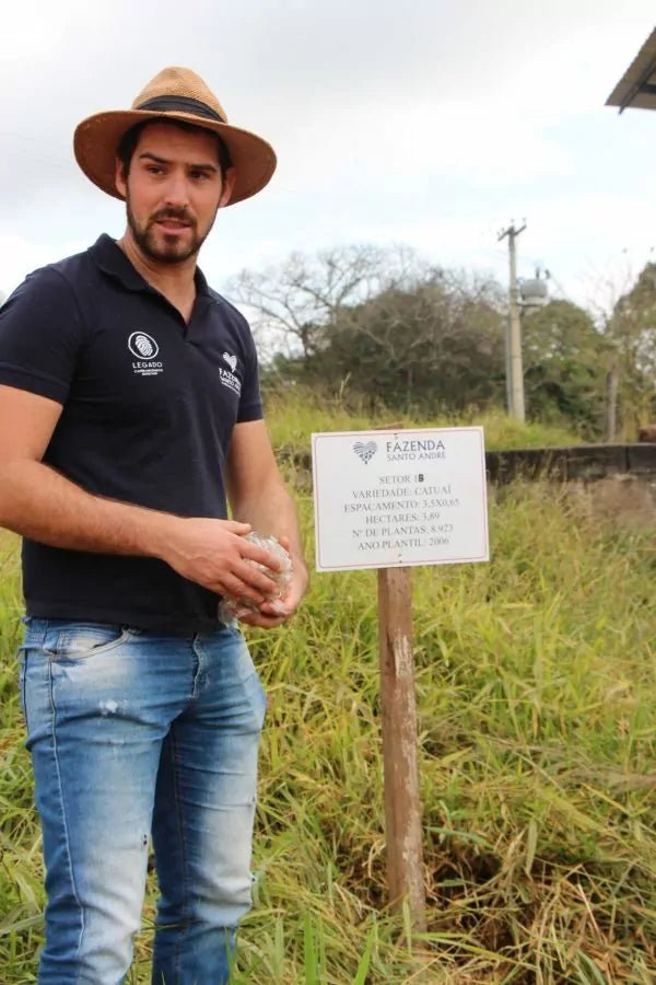 Alma natural - Single Origin Brasilien - Quintacoira Coffee Shop